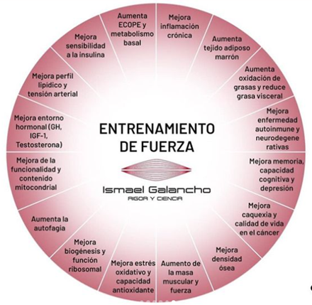 BENEFICIOS DEL ENTRENAMIENTO DE FUERZA